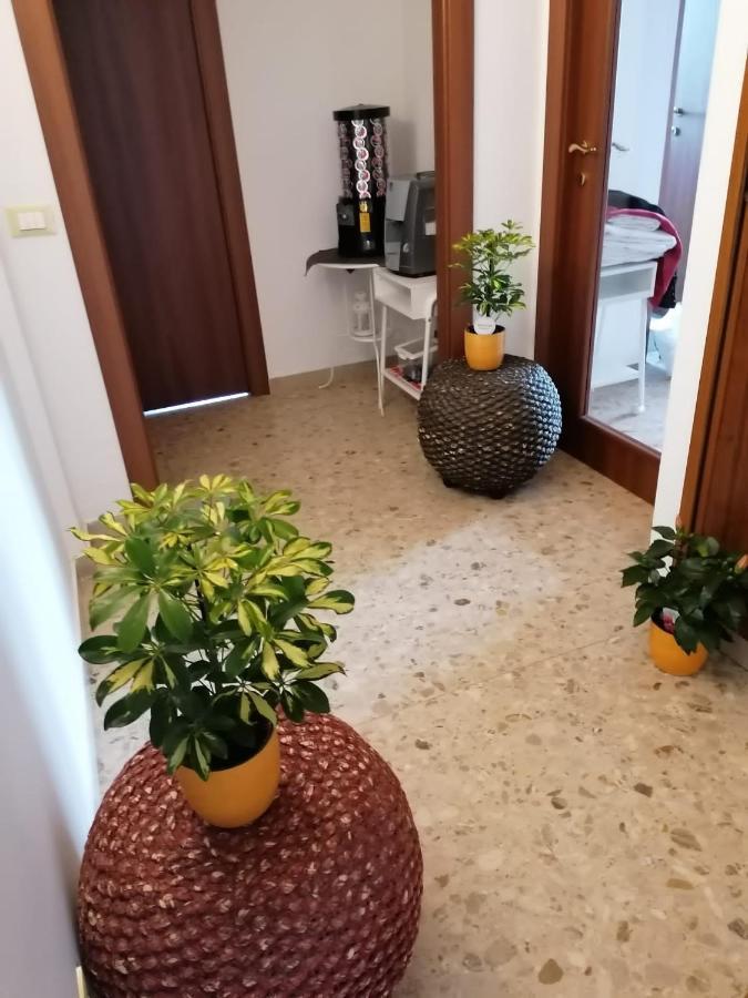Giuseppe House Apartment Пиза Екстериор снимка