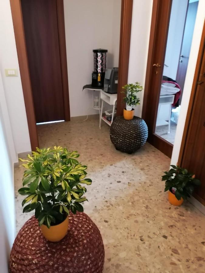 Giuseppe House Apartment Пиза Екстериор снимка
